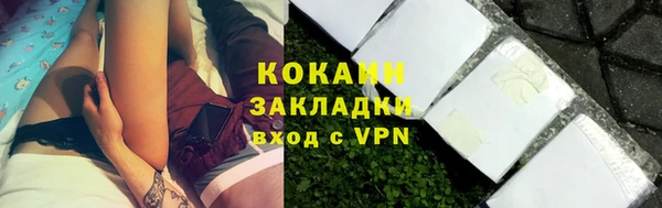 молекула духа Билибино