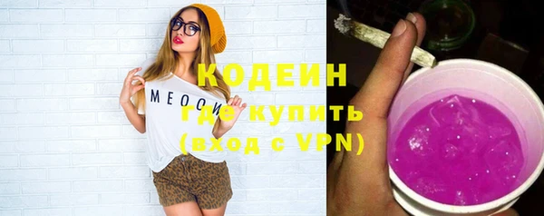 молекула духа Билибино