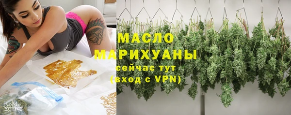молекула духа Билибино