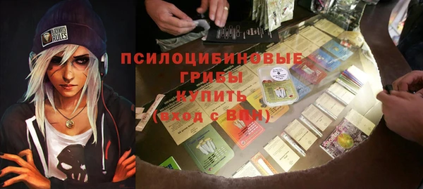 молекула духа Билибино