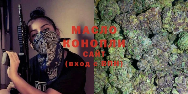 молекула духа Билибино