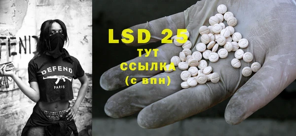 крисы Бикин